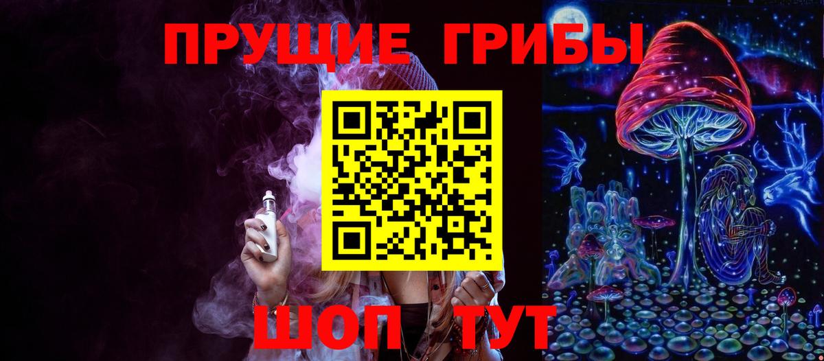 Псилоцибиновые грибы Psilocybine cubensis Лобня